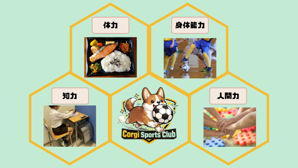コーギースポーツクラブで得られる３つの力＋１